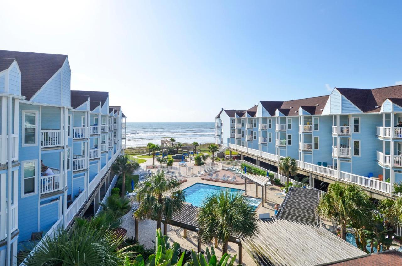 Seascape 1110-parrot Paradise Galveston