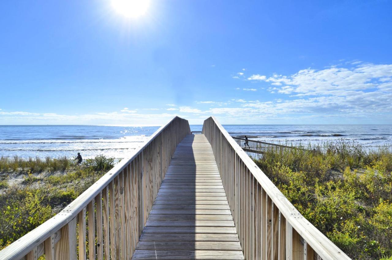 Seascape 1110-parrot Paradise * Galveston